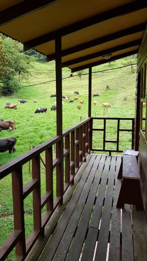 Finca Terra Viva Monteverde Екстер'єр фото
