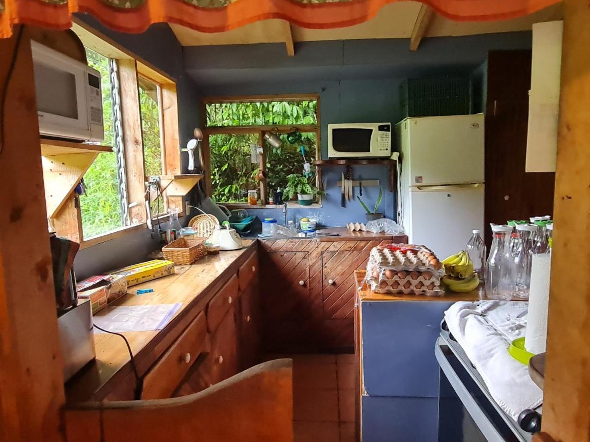 Finca Terra Viva Monteverde Екстер'єр фото