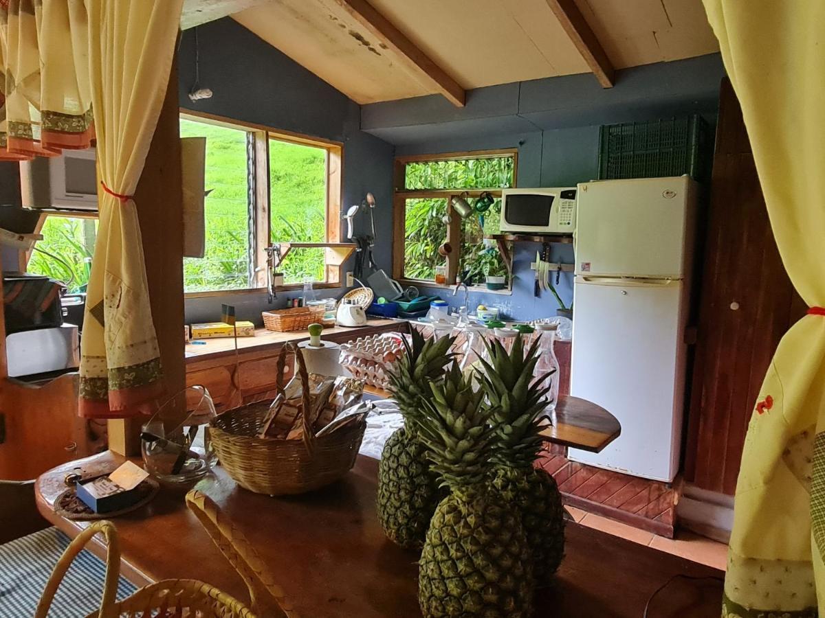Finca Terra Viva Monteverde Екстер'єр фото