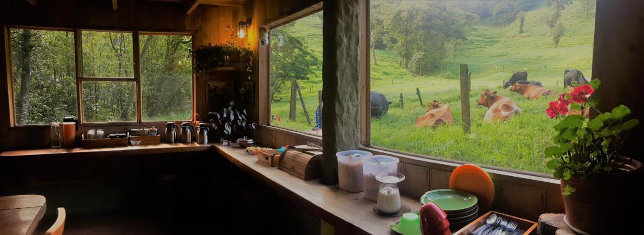 Finca Terra Viva Monteverde Екстер'єр фото