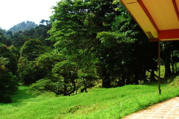 Finca Terra Viva Monteverde Екстер'єр фото