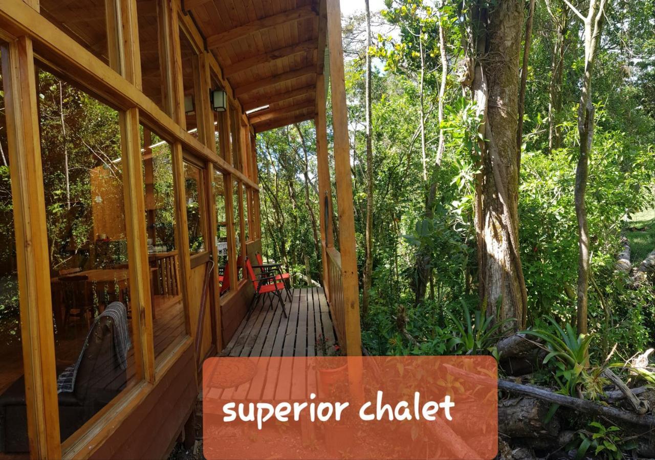 Finca Terra Viva Monteverde Екстер'єр фото